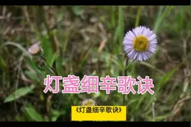诵读中医中药歌决，每天学点新知识视频封面
