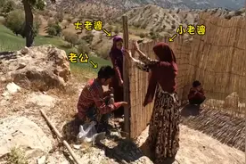 一夫二妻放牧生活，男人高山牧区建新家，俩老婆不离不弃让人感动视频封面