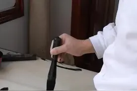 中华至开宠物体之——落笔惊风雨图片