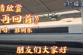 面对现实生活，每个人都有或多或少不堪回首的往事……活在当下视频封面