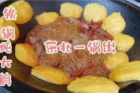 铁锅炖大鹅，贴大饼，东北一锅出视频封面