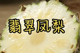 翡翠凤梨，凤梨中的“小甜甜”视频封面