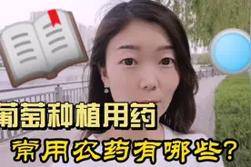 大风都吹不走的知识，葡萄种植用药常用农药有哪些，请看完哈哈！视频封面