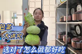 饭店包菜卖18块钱一份，都还那么多人抢着吃，原来是品种选的好视频封面