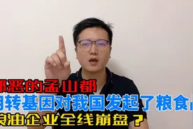 美国农业巨头，想通过控制种子来卡中国人饭碗？恐怕没那么容易视频封面