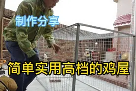 农村简单实用高档的鸡屋，网友看了自己也会做。视频封面