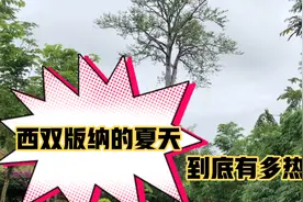 西双版纳的夏天到底有多热？看了你就知道了！视频封面