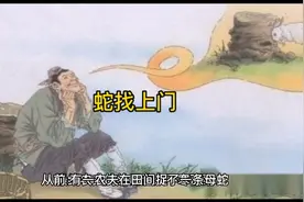 民间故事:蛇找上门视频封面