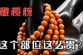文玩橄榄核的这个部位这么贵吗？那为什么这么贵呢？今天来扒一扒视频封面