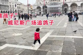 小兄妹陪父母出门，广场上满场追鸽子、奶爸换钱被“坑”心情郁闷视频封面