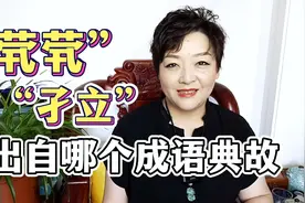 成语茕茕孑立怎么读正确，说的是什么意思呢，出自哪个成语典故视频封面