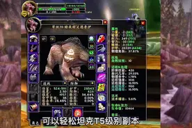 魔兽世界TBC怀旧服：P1阶段熊坦毕业配装及天赋加点，轻松胜任MT视频封面