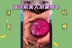 山东潍坊紫美人水果萝卜！视频封面