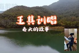 《春天的故事》怀念邓小平#经典历史故事#百听不厌回忆往事视频封面