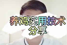 同一批鸡，均匀度差，干瘦不长肉，都是这肠胃病惹的祸，养鸡须知视频封面