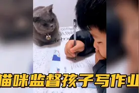 【搞笑配音】猫咪监督孩子写作业....这也太逗了吧哈哈视频封面