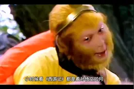 孙悟空最后都成了佛，观音真的原地踏步？错，她又多了一个新称号视频封面