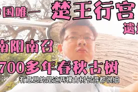 南召云阳镇2700年前楚王行宫遗址，帝王奇怪癖好竟偏爱细腰男人！视频封面