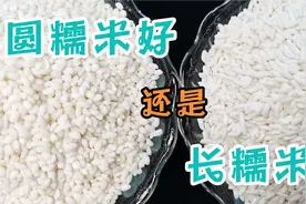 今天才知道，长糯米和圆糯米区别这么大，难怪包的粽子口感不一样视频封面