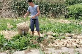 秋季小孩报名，看看四川凉山农村读幼儿园交了多少钱？不要太惊讶视频封面