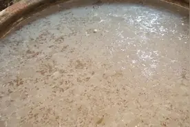 你知道传统酿醋工艺开缸后，白白的一层是啥吗？