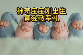 神奇宝宝刚出生竟会敬军礼视频封面