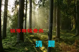 聆听班得瑞的《清晨》，感悟到清晨的澄澈明静，万物苏醒的景象。视频封面