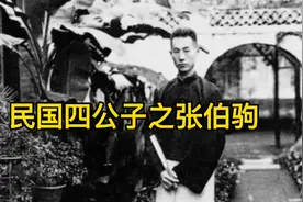 中国最后的名士张伯驹，一生散尽家财，只为保护国家文物传承。视频封面