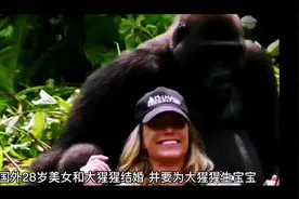 美女和大猩猩结婚并要为大猩猩生宝宝视频封面