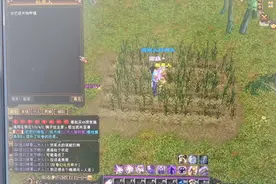 天龙八部怀旧服，种植技能，懒人就得这样玩儿！！！视频封面