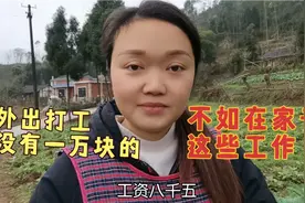 背井离乡外出打工没有一万块钱不如在家干这些，家里工资也不低视频封面