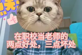 在职业院校当老师有啥好处呢？看完你还愿意去职校当老师吗？视频封面