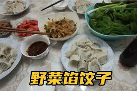 用丈母娘邮过来的山芹菜包饺子，就着马蹄叶蘸酱，小两口饭量惊人