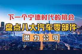 下一个宁德时代的机会，盘点八大汽车零部件潜力公司，机构都青睐视频封面