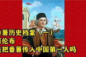 番薯历史档案（一）番薯是从哪里来的#番薯的来由视频封面