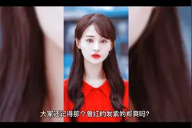 曾日入208万的郑爽被封杀后在外网发布惊天动地的消息视频封面
