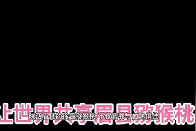 今天给大家推荐超级好吃，营养丰富且瘦身效果强大的水果—猕猴桃视频封面