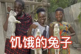 在非洲当地只有清水煮兔肉，怎么做好吃，评论下面我来做视频封面