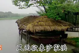 公交2元钱，苏州到常熟，沙家浜风声紧雨意浓，芦苇荡草棚赏雨视频封面