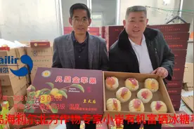 青岛海利尔北方作物专家小崔全程免费技术服务有机富硒冰糖黄金果视频封面
