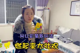 过年的烟花没放完，大甜带娃儿体验网红彩菊新玩法，场面真来劲！视频封面
