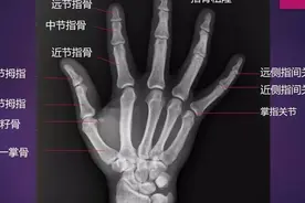 人真的不能没有痛感视频封面