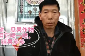 果树和瓜果作物用它喷一喷，坐果多、产量高，效果非常不错视频封面