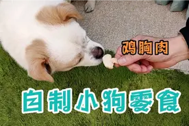 用空气炸锅第一次学做小狗零食鸡胸肉，结果小狗吃了吗🤭视频封面