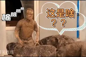 主人不在家，监控拍下俩狗狗的神举动，网友直呼：这是成精了吗😂视频封面