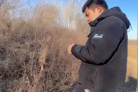 农村 小时候的玩乐视频封面
