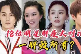 18位明星胖瘦对比，一胖毁所有？最后一位完全看不出是一个人