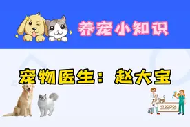 原来猫咪是这样繁衍后代的~~视频封面