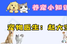 原来猫咪是这样繁衍后代的~~视频封面