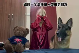 一只比男朋友还要好的狗，它给了女主人极致的偏爱和陪伴。视频封面